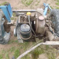 علف چین ایتالیایی