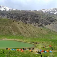عسل طبیعی صد درصد تضمینی|خوردنی و آشامیدنی|شیراز, میدان قائم|دیوار