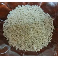 برنج هاشمی گیلان