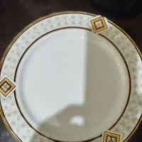 پلو خورشت خوری و دوتا دیس پلو