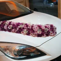 ماشین عروس اقتصادی|خدمات پذیرایی، مراسم|تهران, تهرانپارس جنوبی|دیوار