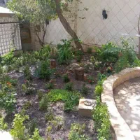 خدمات کلیه باغبانی باغچه کاری گلکاری هرس کاری|خدمات باغبانی و درختکاری|اسلامشهر, مظفریه|دیوار