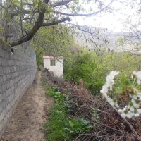 ۹۶۰ متر باغچه فروشی/جاده چالوس/نوجان|فروش خانه و ویلا|آسارا, |دیوار