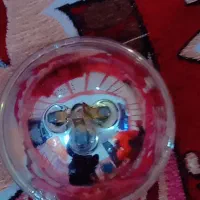 شادگان|لامپ و چراغ|شادگان, |دیوار