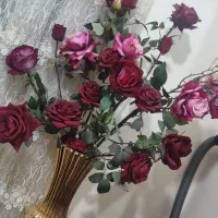 گل رز قرمز بهمراه گلدان بزرگ طلایی