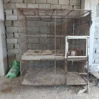 قفس دو طبقه