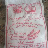 برنج ۱۴۰۵