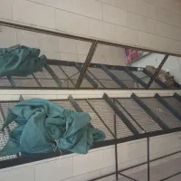 فروش سبد میوه  قیمت توافقی