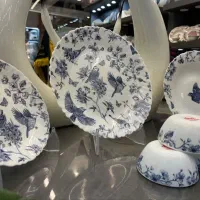 ظروف ارکوپال و چینی اکبند