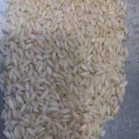 برنج عنبرو چرداول