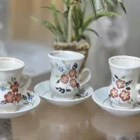 فنجون نعلبکی چینی