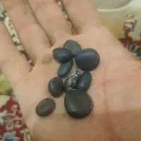 سنگ لاجورد راف .فسیل سر مار