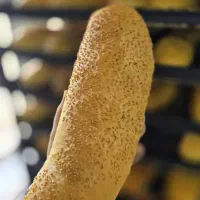 استخدام نیروی کار در ناندیس