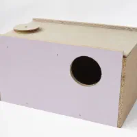 لانه عروس هلندی نو
