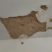 گچکاری‌‌ لکه‌گیری‌ خورده‌کاری‌ سفید‌کاری‌ خاک‌گچ|خدمات پیشه و مهارت|مشهد, هدایت|دیوار