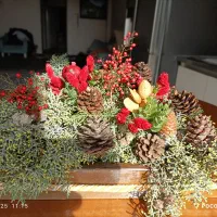 سبد گل چند منظوره|صنایع دستی و سایر لوازم تزئینی|تهران, توحید|دیوار