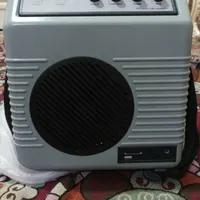 پخش کننده صوتی به همراه میکروفون و فلش خور