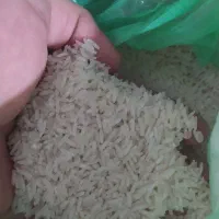 برنج سرلاشه مینودشت|خوردنی و آشامیدنی|سبزوار, هویزه|دیوار