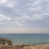 واحد-ویلایی