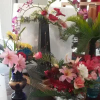 فروش یکجای ۶ استند و گلدان پر از گل زیبای مصنوعی|گل مصنوعی|تهران, قیام|دیوار