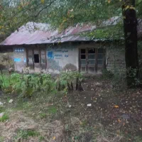 زمین تجاری مسکونی در دریاچه ویستان|فروش زمین و ملک کلنگی|بره‌سر, |دیوار