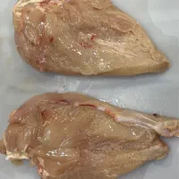 بیخصکار نیازمندیم