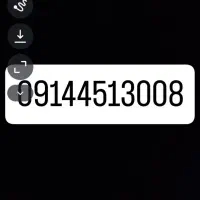09144513008