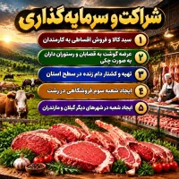 جذب شریک در 5 زمینه مختلف(با سود دهی بالا)