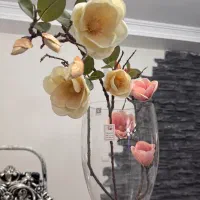 دو عدد شاخه گل نو