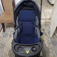 کالسکه دلیجان|کالسکه و لوازم جانبی|سهند, |دیوار