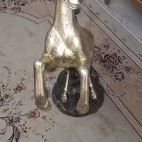 اسب زرین قابل شستشو