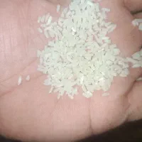 برنج سرلاشه هاشمی سورتینگ شده