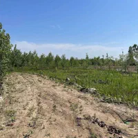زمین اقساطی مناسب ساخت کلبه سوئیسی/ساحلی زیباکنار|فروش زمین و ملک کلنگی|بندر انزلی, پاسداران|دیوار