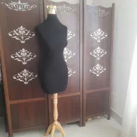 دو عدد مانکن