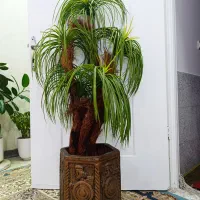 گل مصنوعی با گلدان
