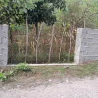 فروش-زمین-مسکونی-387-متری-در-روستای-گیلوا