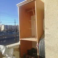 تعدادی پرنده مرغ عشق و...|پرنده|گلبهار, شهر جدید گلبهار|دیوار