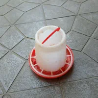 جا دانه