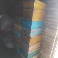 فروش طبق و کادر زنبور عسل