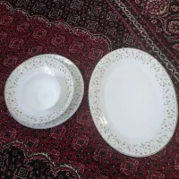 آرکوپال|ظروف سرو و پذیرایی|سنندج, |دیوار