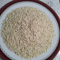 برنج چمپا خوش پخت
