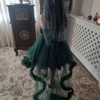 لباس مجلسی|لباس|مشهد, جاهد شهر|دیوار