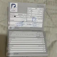 واگذاری رایگان گربه خونگی|گربه|اصفهان, وحید|دیوار