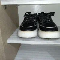 ویتنام های کپی