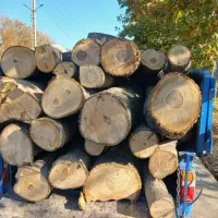 خرید درخت و چوب و هرس کاری درختان