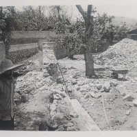 فروش گل باغی بسیار مرغوب درتفت