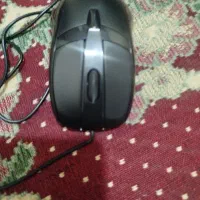 موس|قطعات و لوازم جانبی رایانه|گرگان, |دیوار