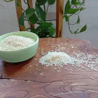 برنج هاشمی ارگانیک آستانه گیلان