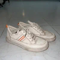 کفش در حد نو|کیف، کفش، کمربند|اقبالیه, |دیوار