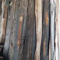 پشتی چوب سپیدار